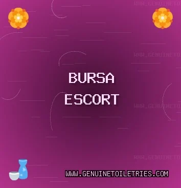 Bursa Escort: Mudanya Escort, Yıldırım Escort, İznik Escort